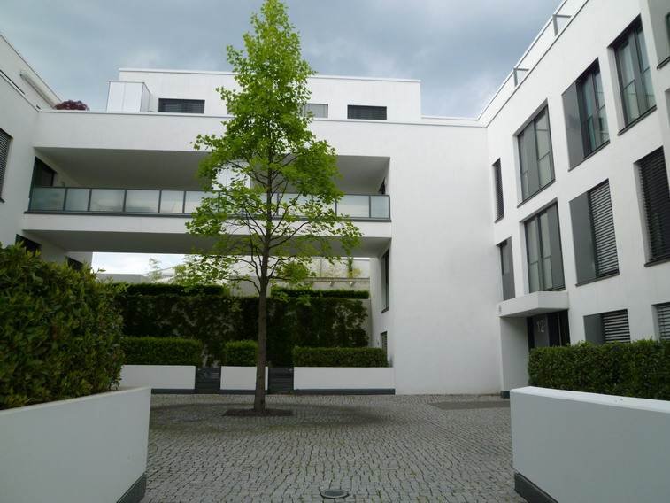 Moderne 3 Zi Wohnung Mit Balkon Im Rosenpark Durchdewald Immobilien